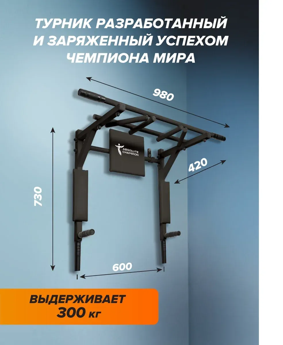 Турник Absolute Champion Абсолют