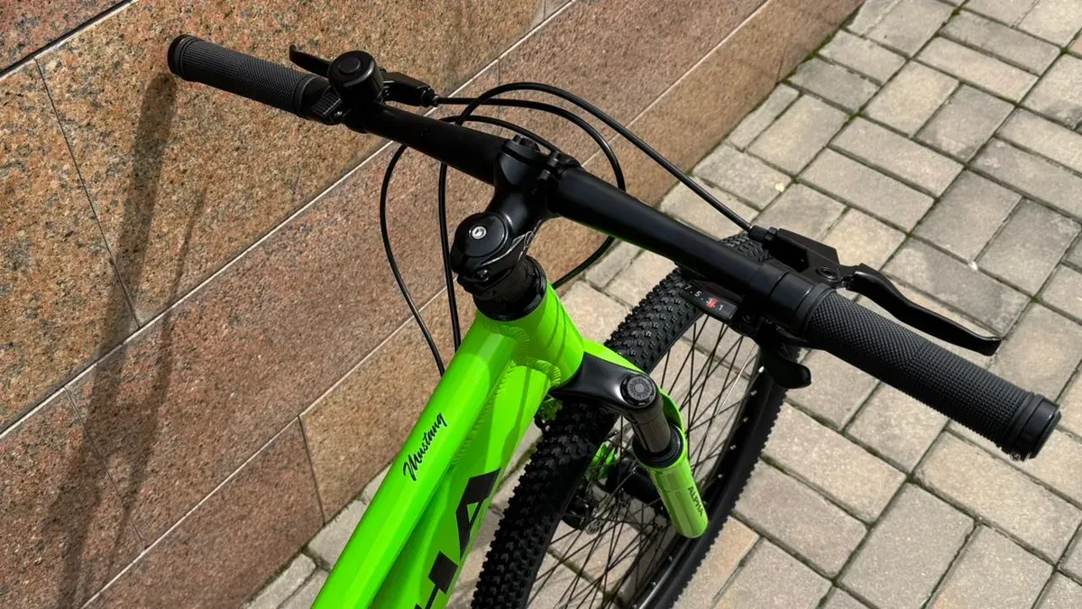 ALPHA Mustang LE MD жасөспірім велосипеді, 24″