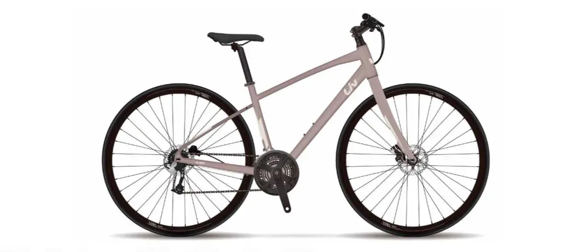 Liv Alight 2 әйелдерге арналған гибрид велосипед, 28″