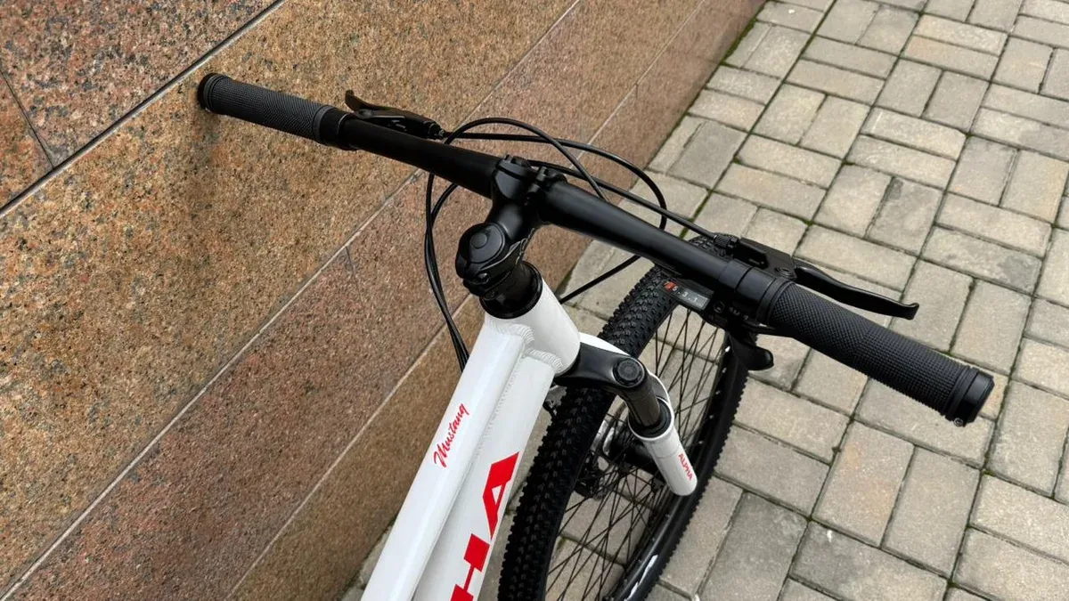 ALPHA Mustang LE MD жасөспірім велосипеді, 24″
