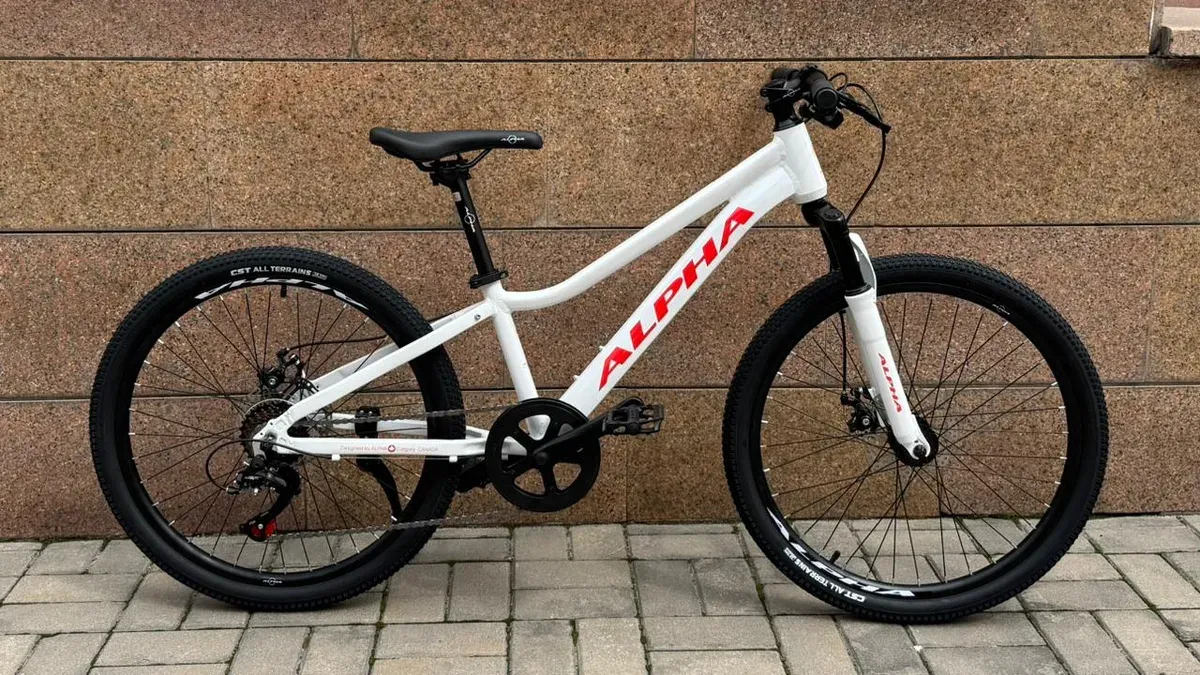 ALPHA Mustang LE MD жасөспірім велосипеді, 24″