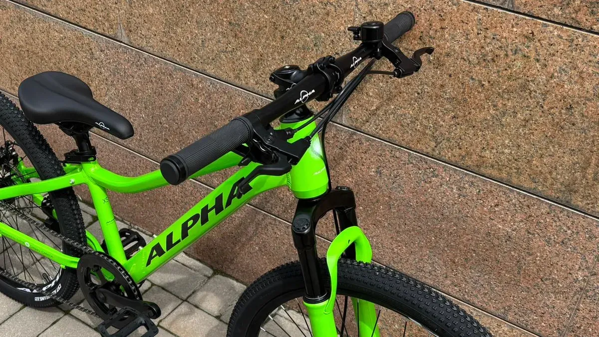 ALPHA Mustang LE MD жасөспірім велосипеді, 24″